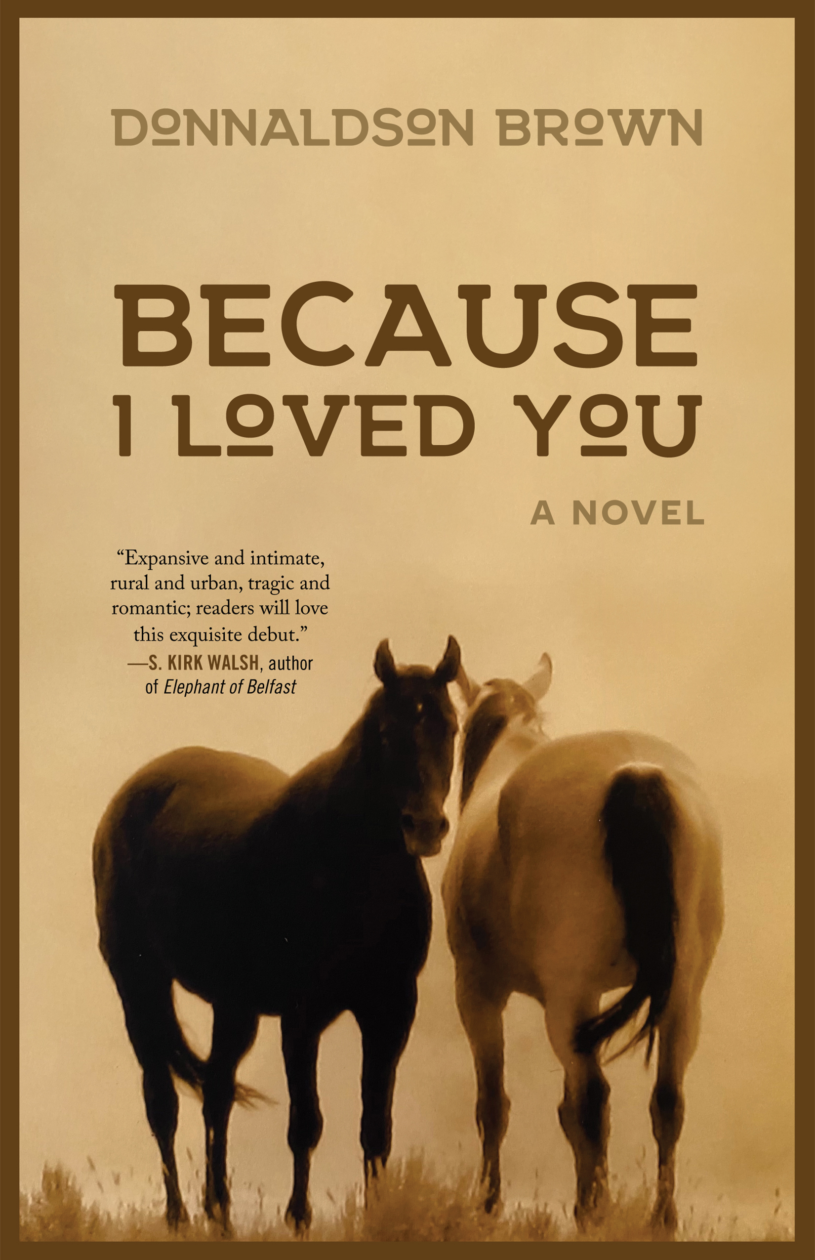 Because I Loved You front cover wblurb