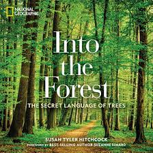 Hitchcock Intothe Forest