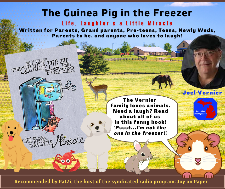 JJJ VERNIER GUINEA PIG