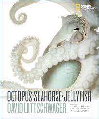 Liittschwager David Octopus